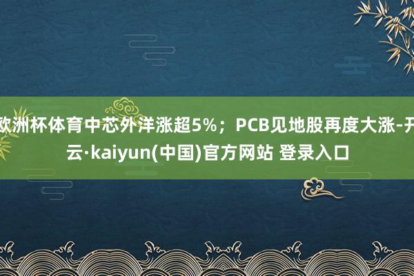 欧洲杯体育中芯外洋涨超5%；PCB见地股再度大涨-开云·kaiyun(中国)官方网站 登录入口