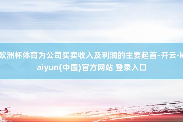 欧洲杯体育为公司买卖收入及利润的主要起首-开云·kaiyun(中国)官方网站 登录入口