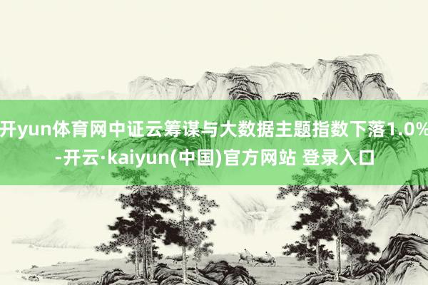 开yun体育网中证云筹谋与大数据主题指数下落1.0%-开云·kaiyun(中国)官方网站 登录入口