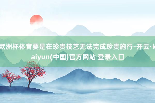 欧洲杯体育要是在珍贵技艺无法完成珍贵施行-开云·kaiyun(中国)官方网站 登录入口