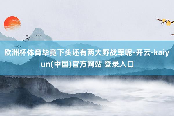 欧洲杯体育毕竟下头还有两大野战军呢-开云·kaiyun(中国)官方网站 登录入口