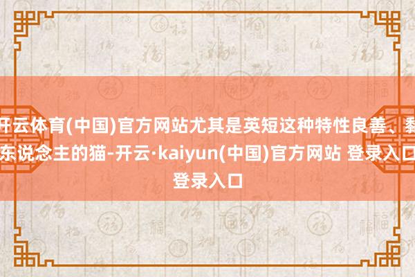 开云体育(中国)官方网站尤其是英短这种特性良善、黏东说念主的猫-开云·kaiyun(中国)官方网站 登录入口