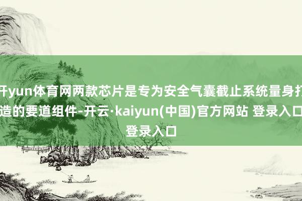 开yun体育网两款芯片是专为安全气囊截止系统量身打造的要道组件-开云·kaiyun(中国)官方网站 登录入口