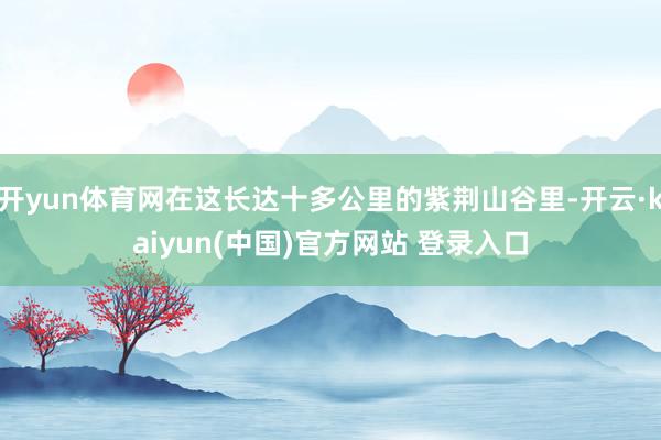 开yun体育网在这长达十多公里的紫荆山谷里-开云·kaiyun(中国)官方网站 登录入口