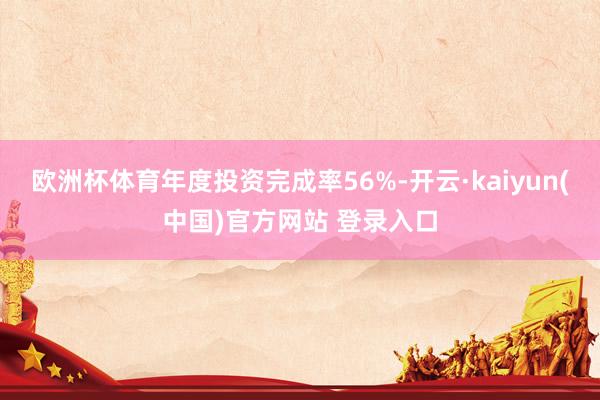 欧洲杯体育年度投资完成率56%-开云·kaiyun(中国)官方网站 登录入口