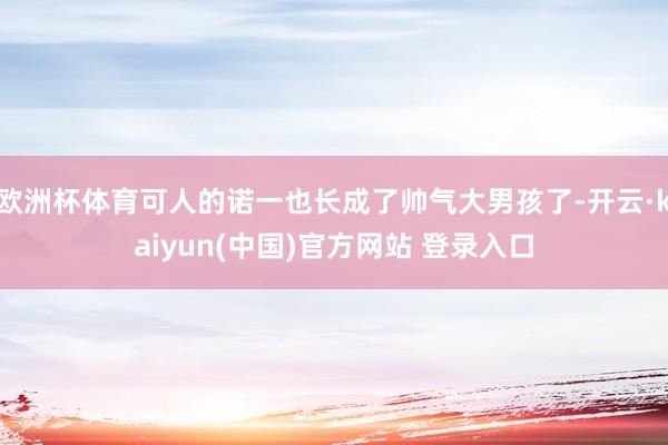 欧洲杯体育可人的诺一也长成了帅气大男孩了-开云·kaiyun(中国)官方网站 登录入口