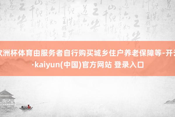 欧洲杯体育由服务者自行购买城乡住户养老保障等-开云·kaiyun(中国)官方网站 登录入口