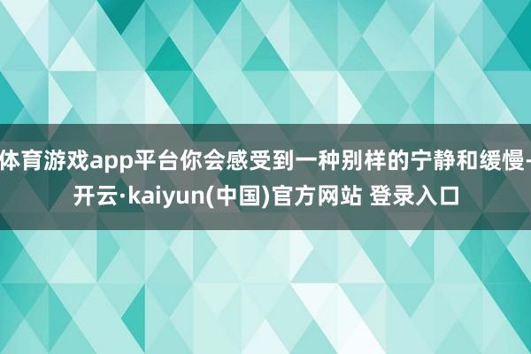 体育游戏app平台你会感受到一种别样的宁静和缓慢-开云·kaiyun(中国)官方网站 登录入口