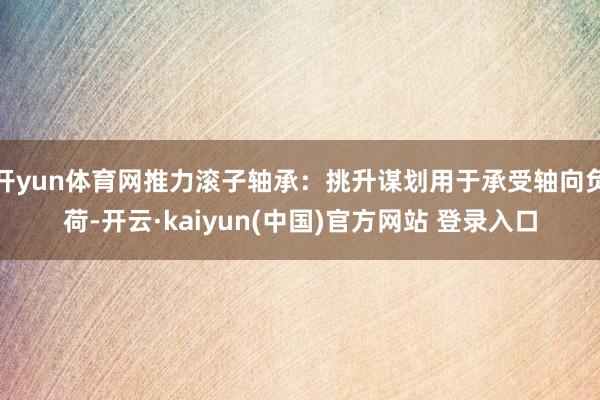 开yun体育网推力滚子轴承：挑升谋划用于承受轴向负荷-开云·kaiyun(中国)官方网站 登录入口